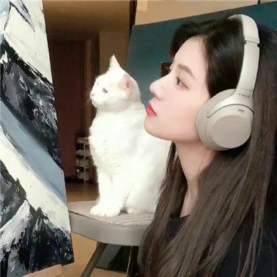 纽约娃娃
